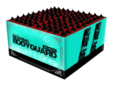 X101 Beeping Bodyguard/Mute The Flute