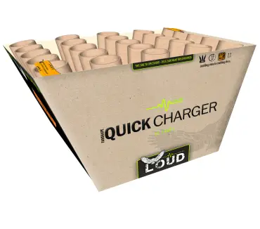 L006 Quick Charger