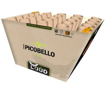L007 Picobello