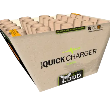 L006 Quick Charger