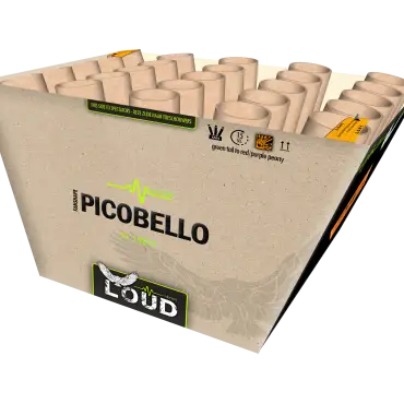L007 Picobello