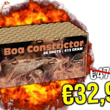 Boa Constrictor *UITVERKOCHT*